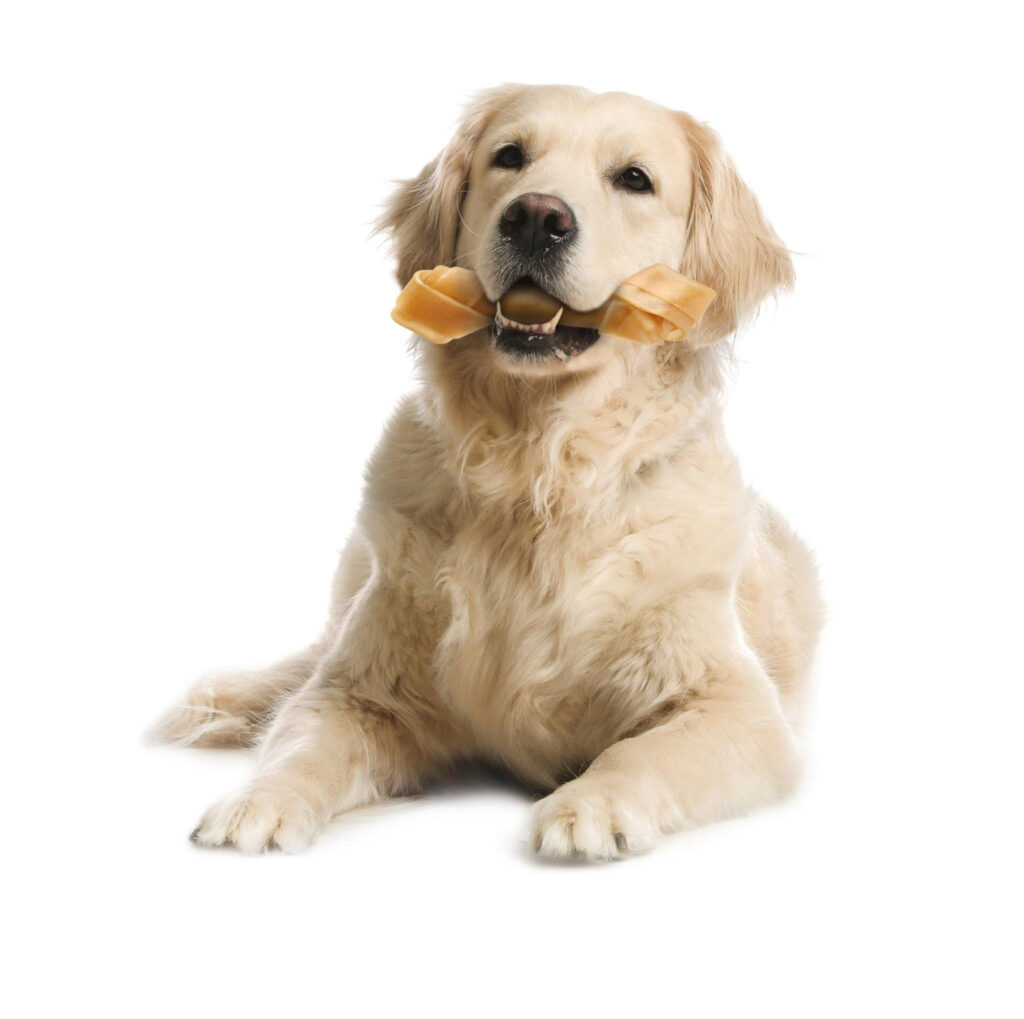 Dogs Have Peanut Butter Pretzels