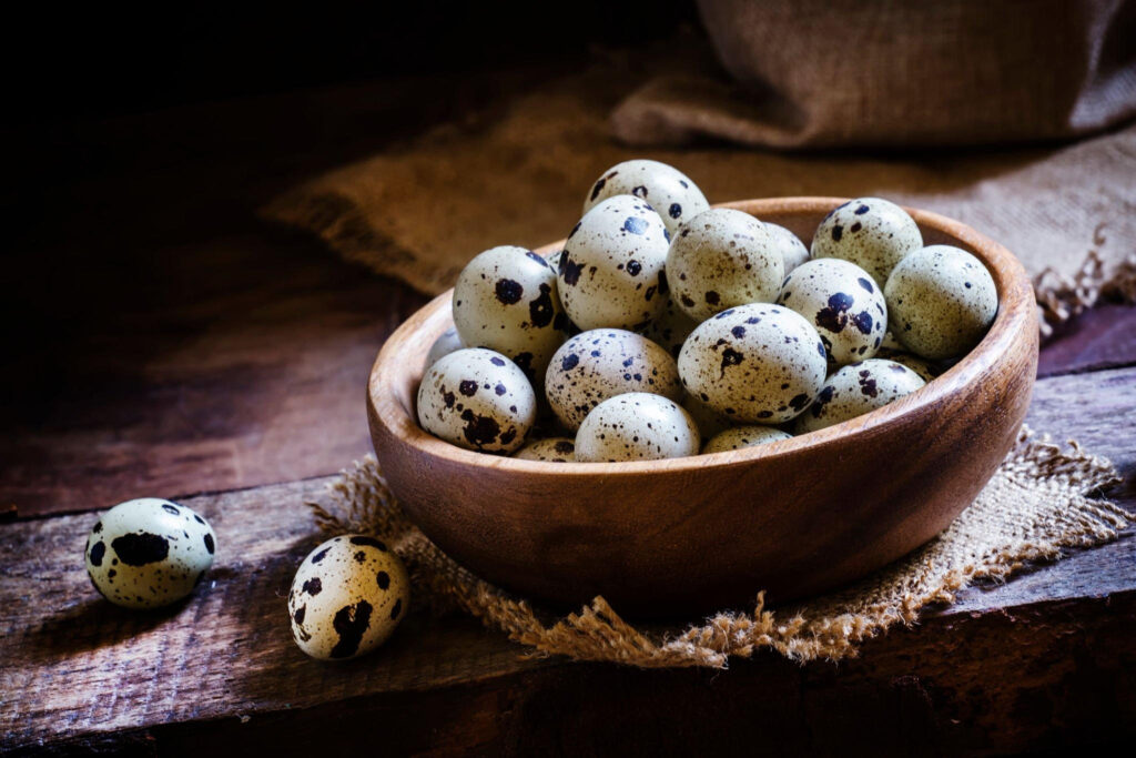 Benefits of Quail Eggs for Dogs